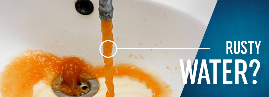 Repipe Specialist